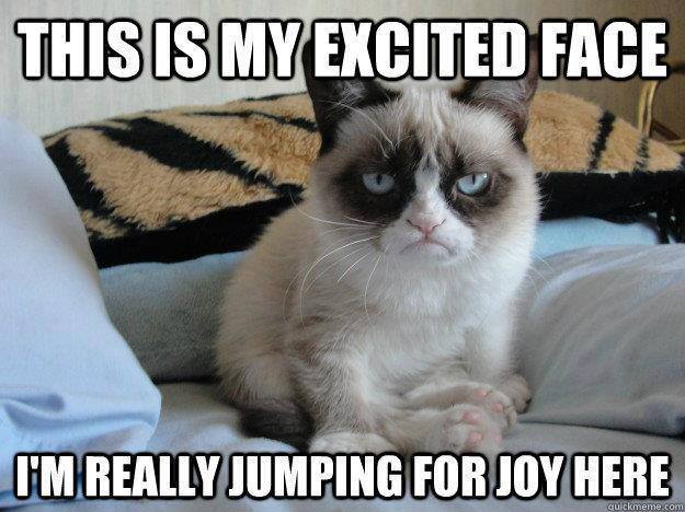 grumpy cat excited