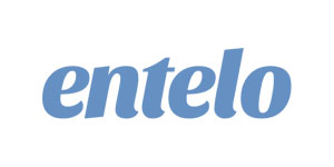 Manual Qa Engineer Omnes Group