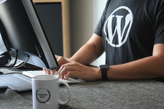 wordpress developer wordpress developer