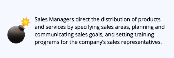 sales manager job description